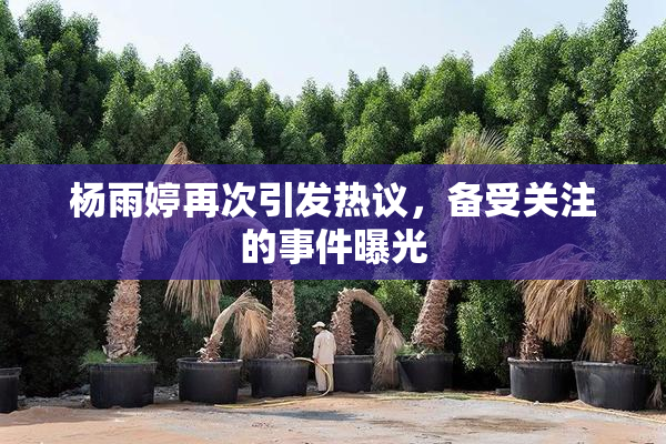 杨雨婷再次引发热议，备受关注的事件曝光