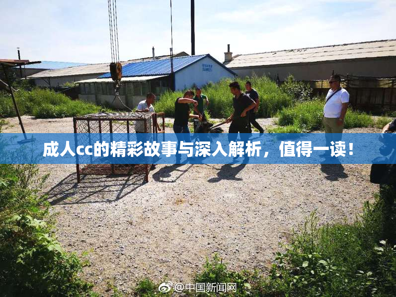 成人cc的精彩故事与深入解析，值得一读！
