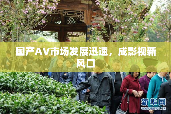 国产AV市场发展迅速，成影视新风口