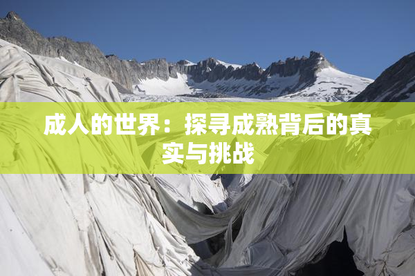 成人的世界：探寻成熟背后的真实与挑战
