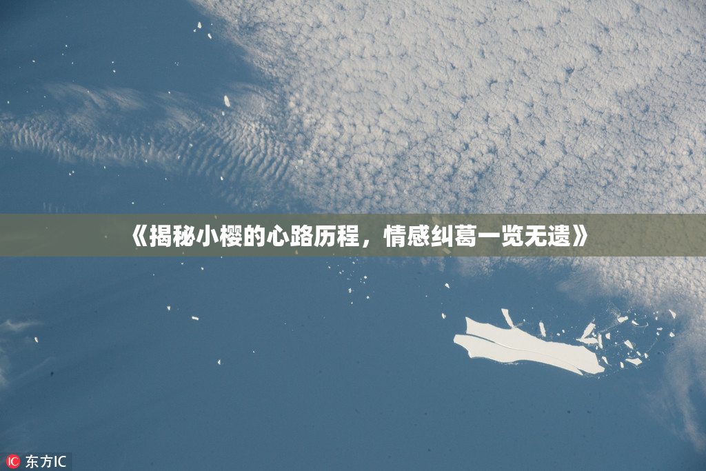 《揭秘小樱的心路历程，情感纠葛一览无遗》