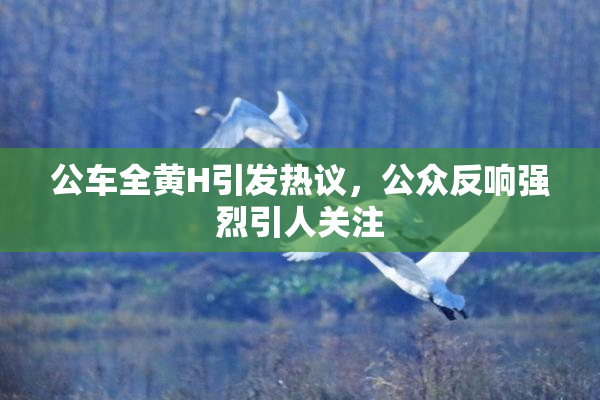 公车全黄H引发热议，公众反响强烈引人关注