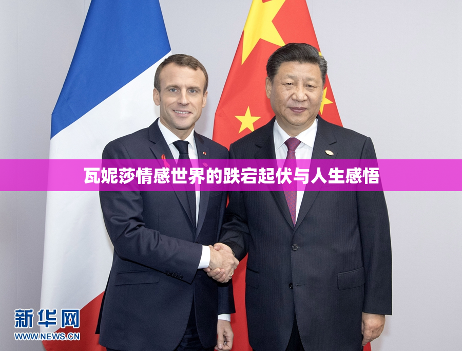 瓦妮莎情感世界的跌宕起伏与人生感悟