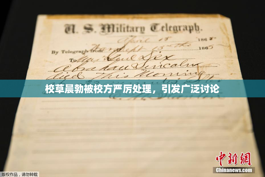 校草晨勃被校方严厉处理，引发广泛讨论