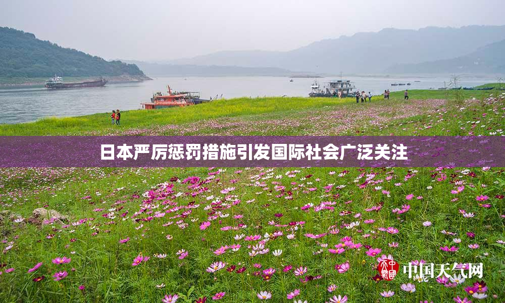 日本严厉惩罚措施引发国际社会广泛关注