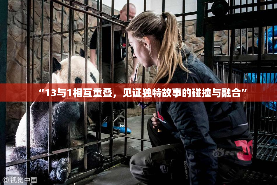 “13与1相互重叠，见证独特故事的碰撞与融合”