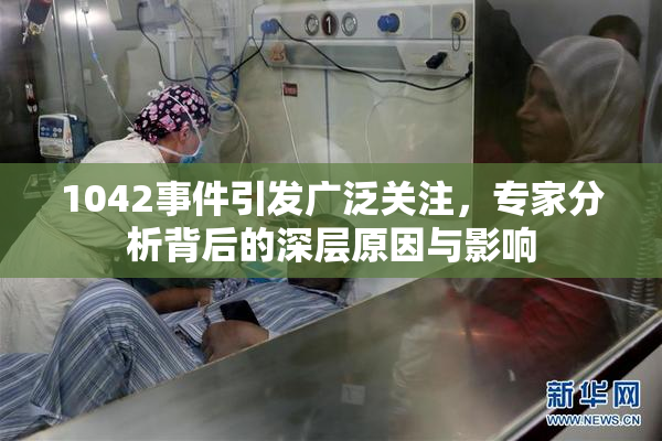 1042事件引发广泛关注，专家分析背后的深层原因与影响
