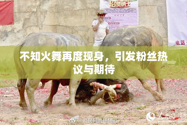 不知火舞再度现身，引发粉丝热议与期待