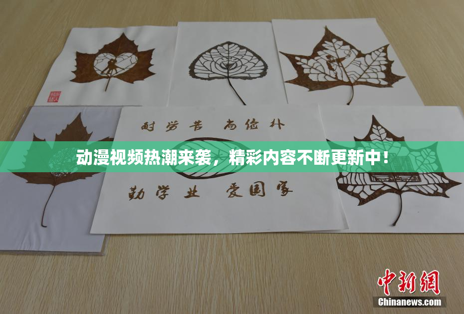 动漫视频热潮来袭，精彩内容不断更新中！
