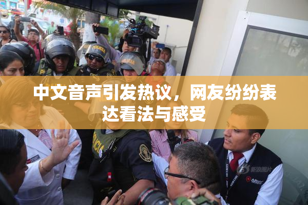 中文音声引发热议，网友纷纷表达看法与感受