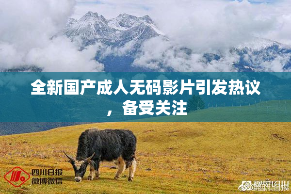 全新国产成人无码影片引发热议，备受关注