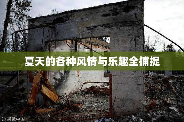 夏天的各种风情与乐趣全捕捉