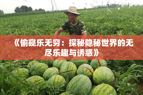 《偷窥乐无穷：探秘隐秘世界的无尽乐趣与诱惑》