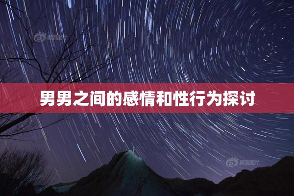 男男之间的感情和性行为探讨