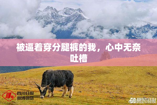 被逼着穿分腿裤的我，心中无奈吐槽