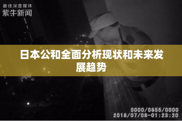 日本公和全面分析现状和未来发展趋势