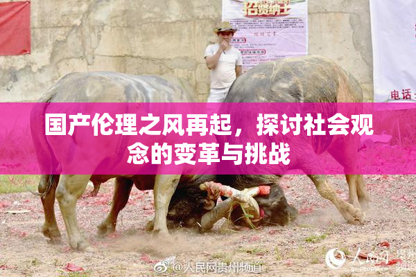 国产伦理之风再起，探讨社会观念的变革与挑战