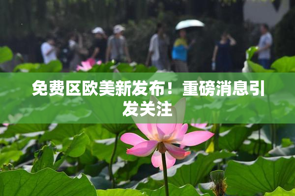 免费区欧美新发布！重磅消息引发关注