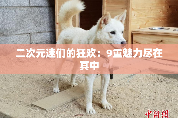 二次元迷们的狂欢：9重魅力尽在其中