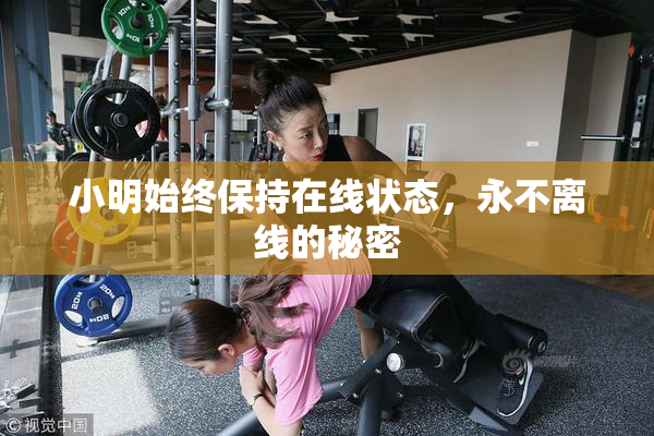小明始终保持在线状态，永不离线的秘密