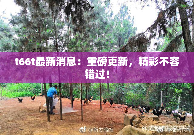 t66t最新消息：重磅更新，精彩不容错过！