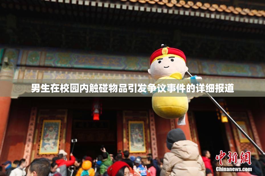 男生在校园内触碰物品引发争议事件的详细报道