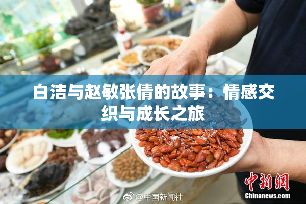 白洁与赵敏张倩的故事：情感交织与成长之旅