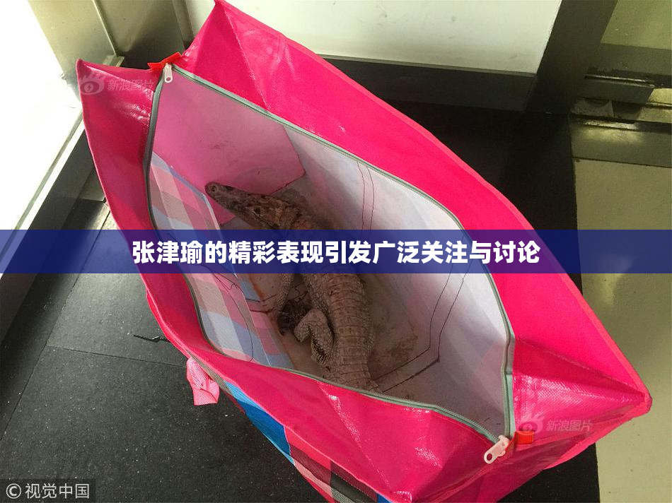 张津瑜的精彩表现引发广泛关注与讨论