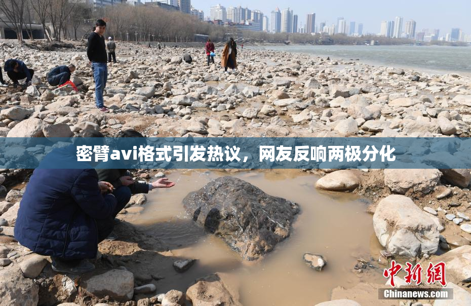 密臂avi格式引发热议，网友反响两极分化