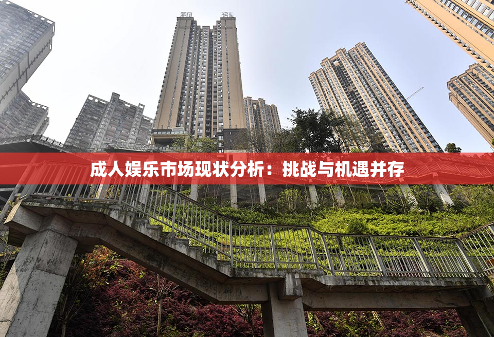 成人娱乐市场现状分析：挑战与机遇并存