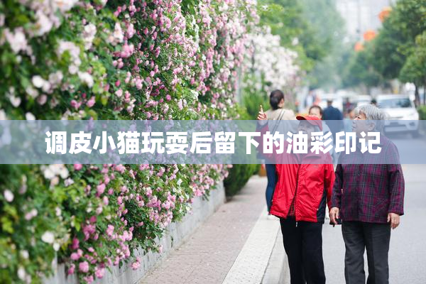 调皮小猫玩耍后留下的油彩印记