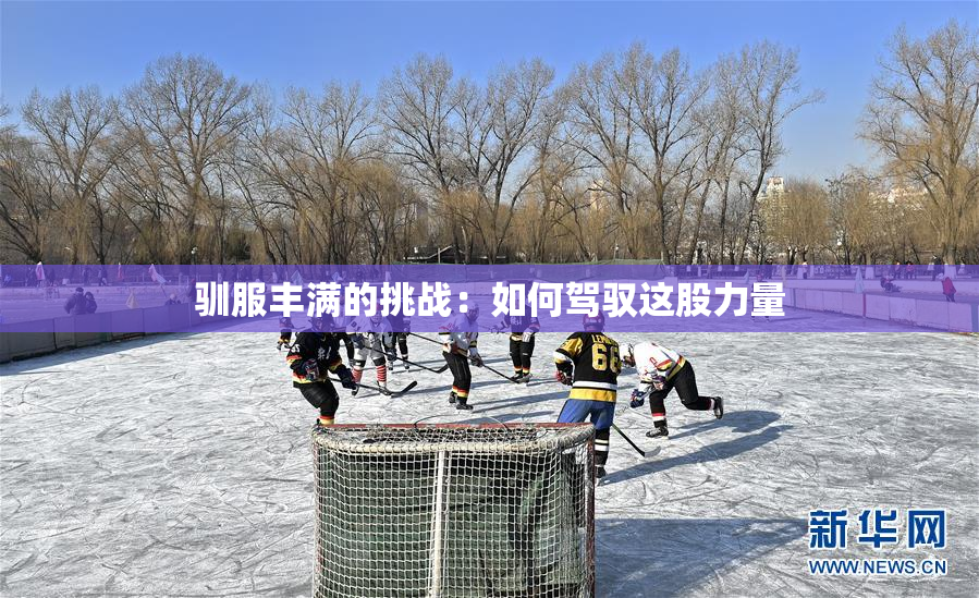 驯服丰满的挑战：如何驾驭这股力量