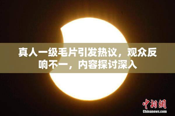真人一级毛片引发热议，观众反响不一，内容探讨深入