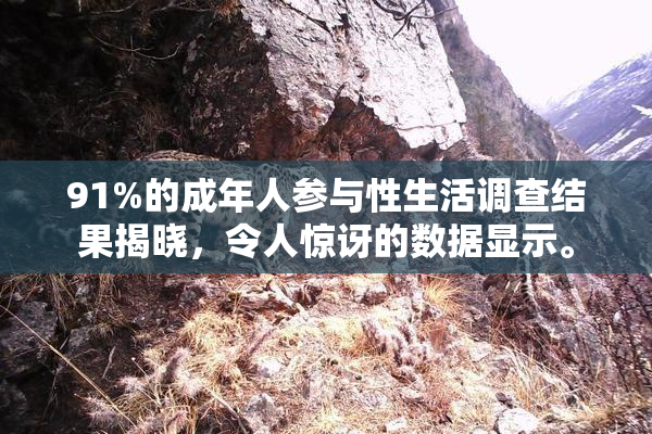 91%的成年人参与性生活调查结果揭晓，令人惊讶的数据显示。