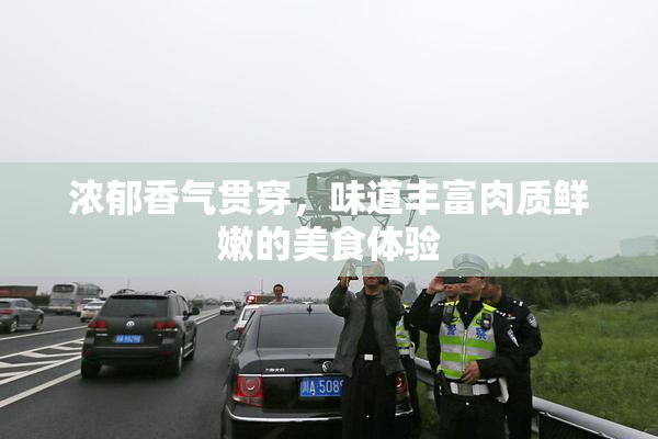 浓郁香气贯穿，味道丰富肉质鲜嫩的美食体验