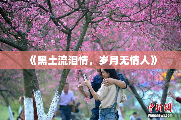 《黑土流泪情，岁月无情人》