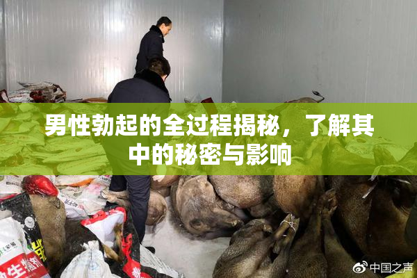 男性勃起的全过程揭秘，了解其中的秘密与影响