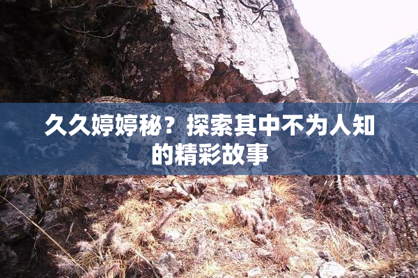 久久婷婷秘？探索其中不为人知的精彩故事