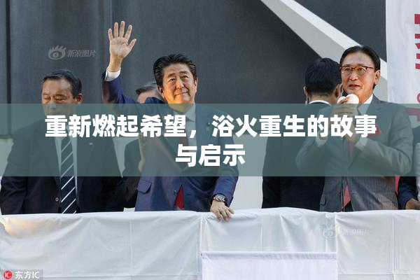 重新燃起希望，浴火重生的故事与启示