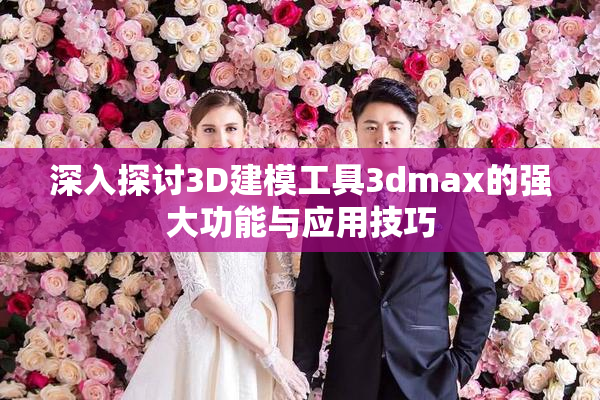 深入探讨3D建模工具3dmax的强大功能与应用技巧