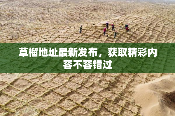 草榴地址最新发布，获取精彩内容不容错过