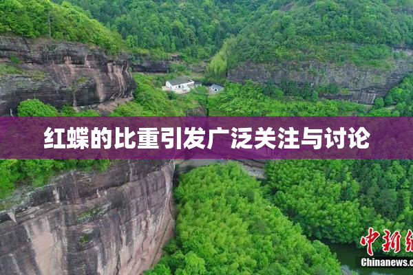 红蝶的比重引发广泛关注与讨论
