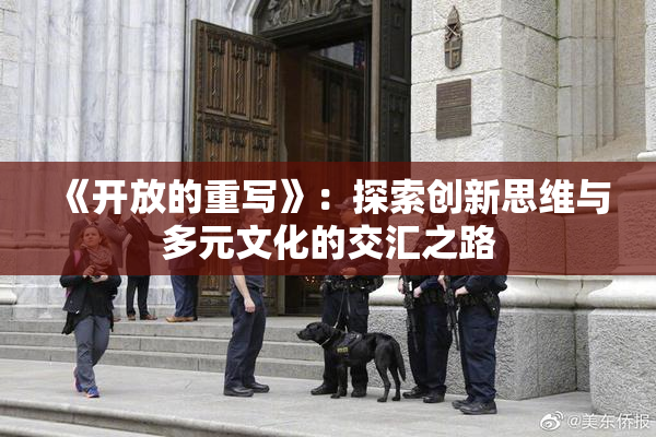《开放的重写》：探索创新思维与多元文化的交汇之路