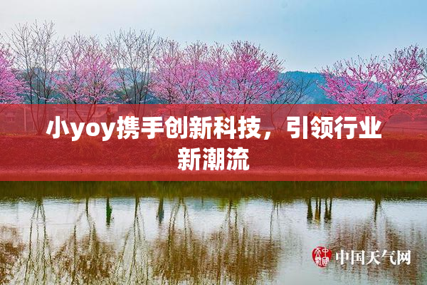 小yoy携手创新科技，引领行业新潮流