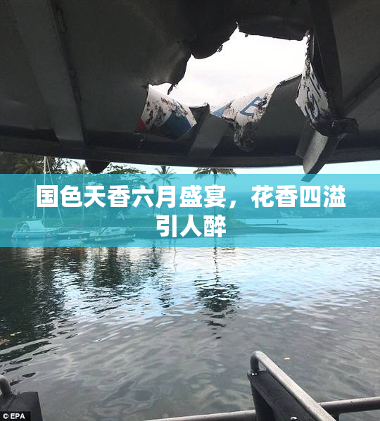 国色天香六月盛宴，花香四溢引人醉