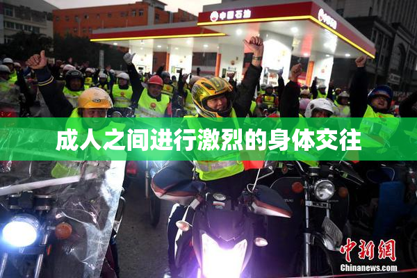 成人之间进行激烈的身体交往