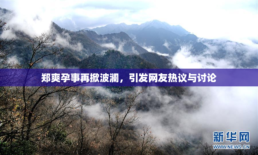 郑爽孕事再掀波澜，引发网友热议与讨论