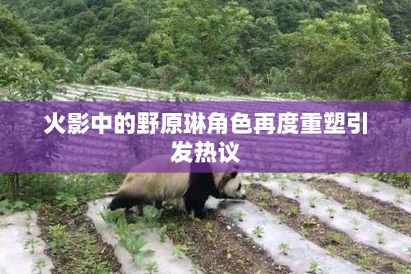 火影中的野原琳角色再度重塑引发热议