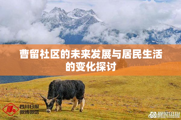 曹留社区的未来发展与居民生活的变化探讨