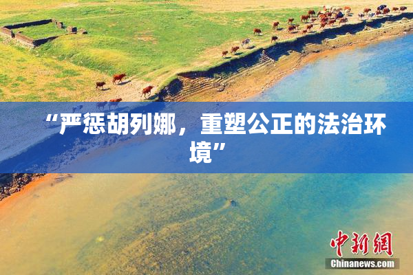“严惩胡列娜，重塑公正的法治环境”